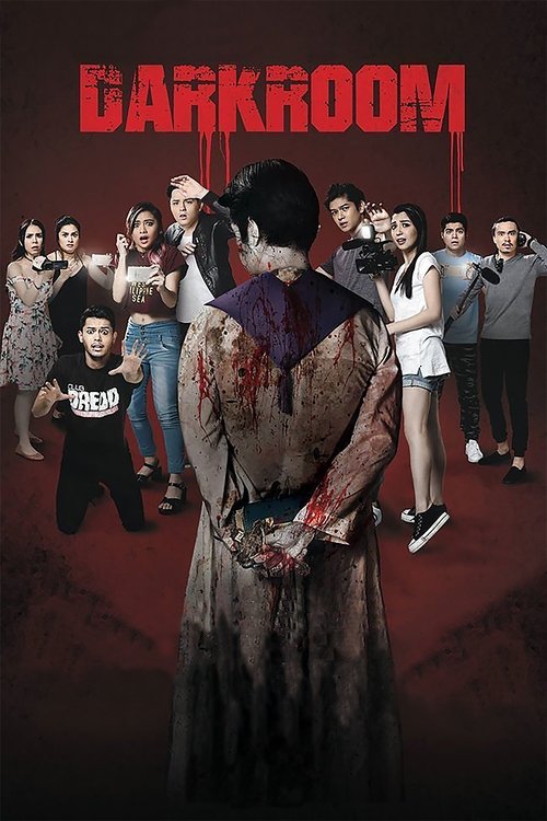 Darkroom (2017) poster