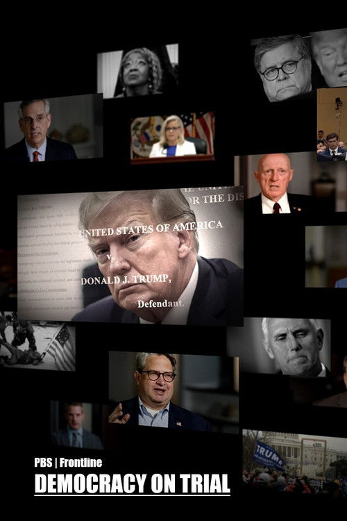 Democracy on Trial (2024) poster