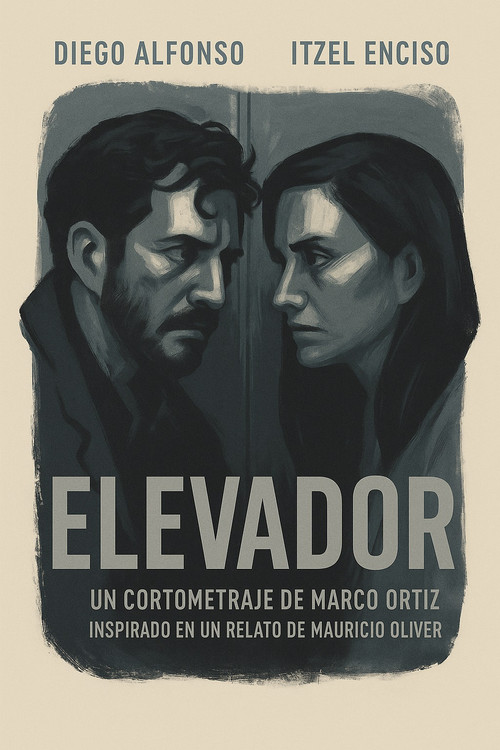 Elevador (2014) poster