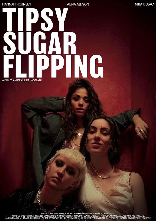 Tipsy Sugar Flipping (2024) poster