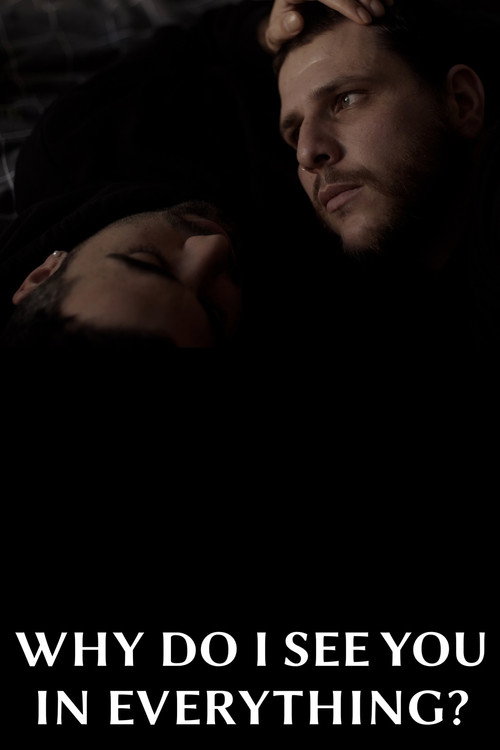 لماذا أراكِ في كل شيء؟ (2026) poster