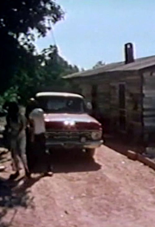 The Burks of Georgia (1976) poster