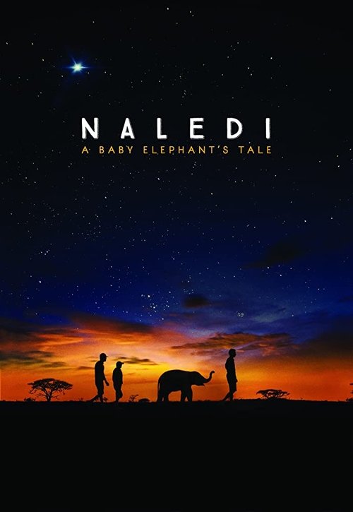 Yavru Fil Naledi (2016) poster