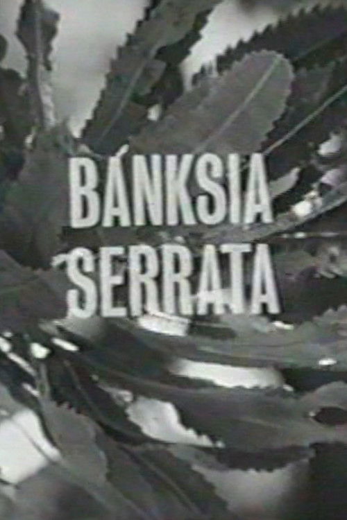 Banksia Serrata (1963) poster