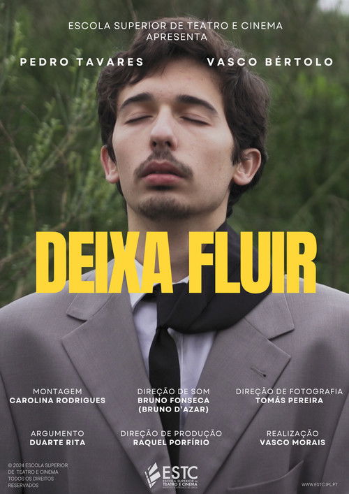 Deixa Fluir (2024) poster