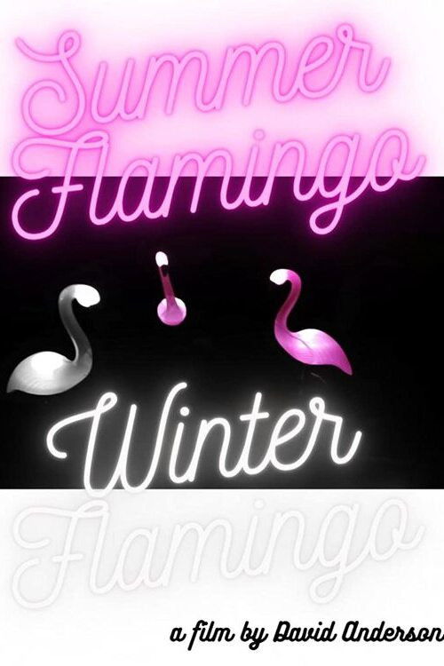 Summer Flamingo Winter Flamingo (2022) poster