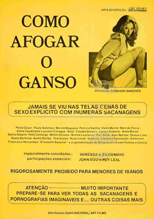 Como Afogar o Ganso (1981) poster