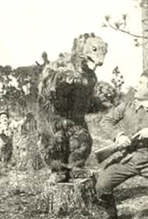 Willie, the Hunter (1912) poster