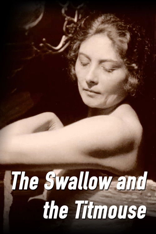 The Swallow and the Titmouse (1924) poster