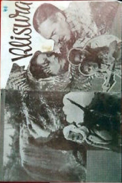 Canyon (1956) poster