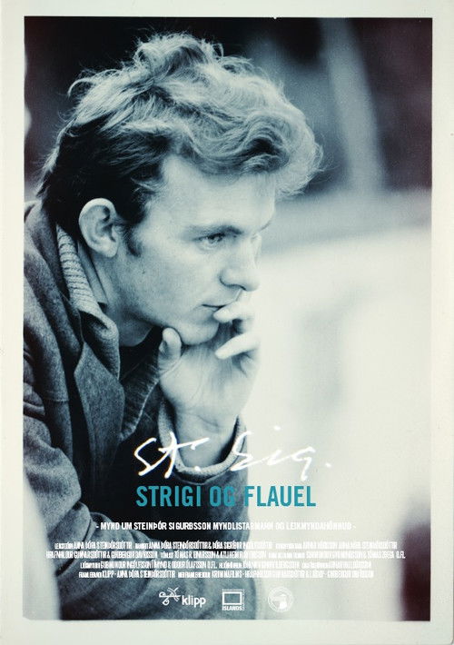 Canvas and Curtains (2013) poster