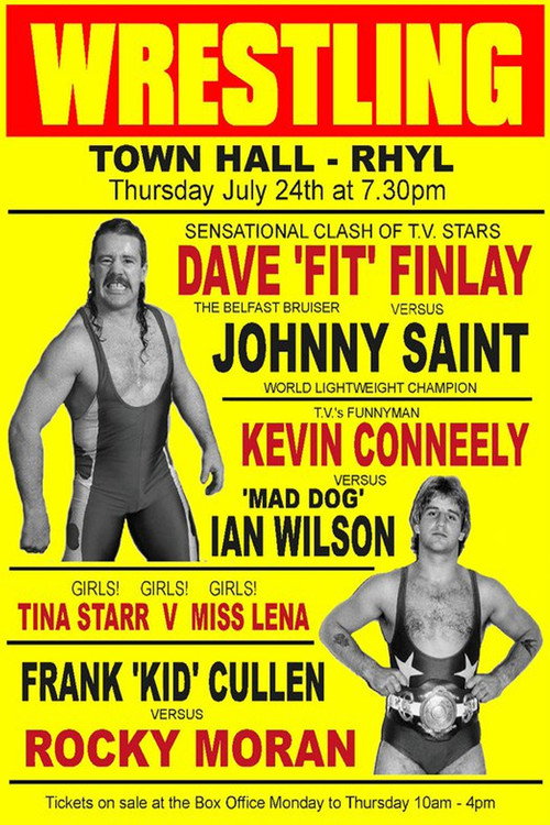 The Fit Finlays (2010) poster
