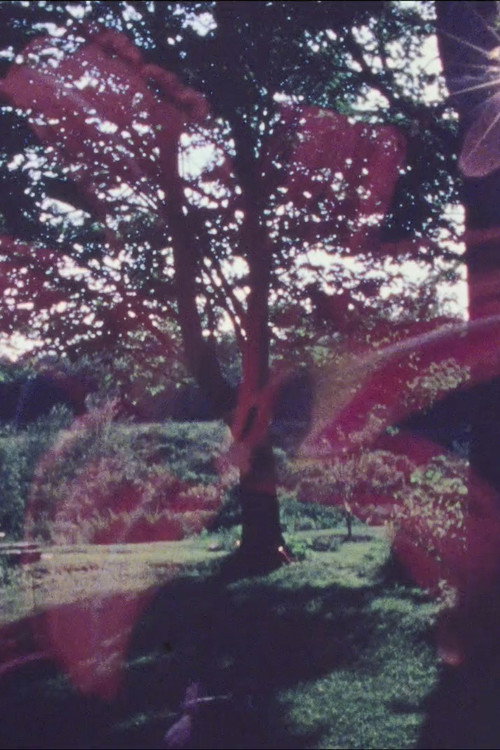 Spem in Alium (1982) poster