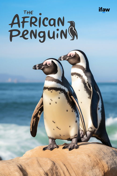 The African Penguin (2009) poster
