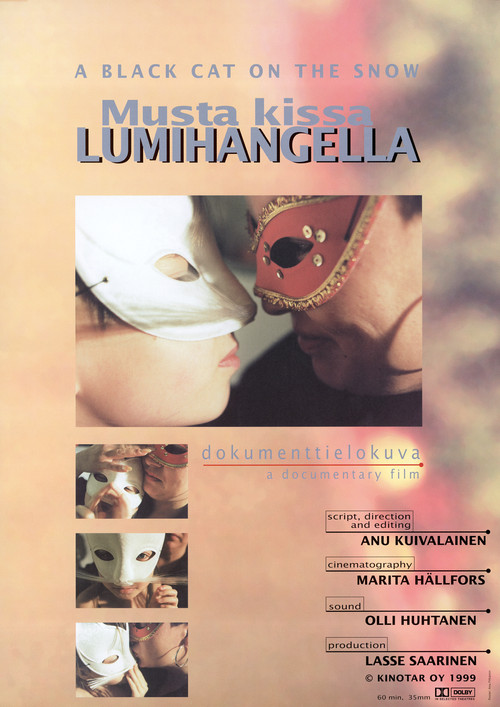 A Black Cat On The Snow (1999) poster