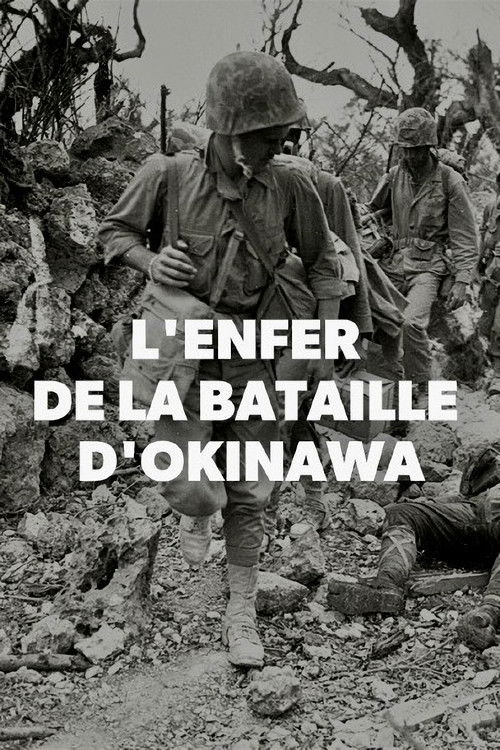 L'enfer de la bataille d'Okinawa poster