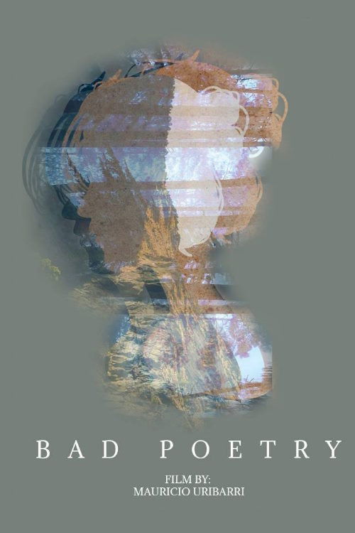 Bad Poetry (2019) poster