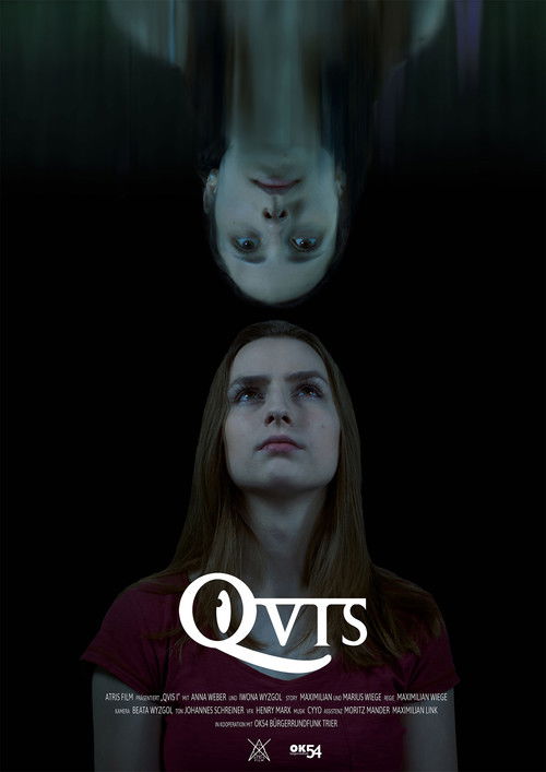 QVIS I (2019) poster