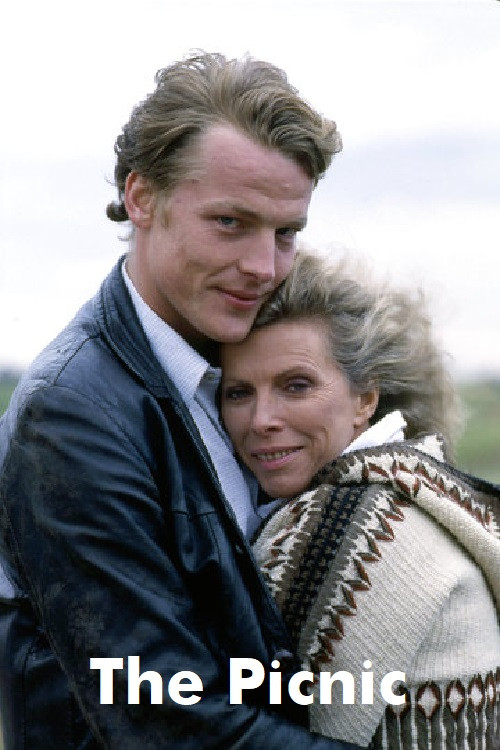 The Picnic (1989) poster