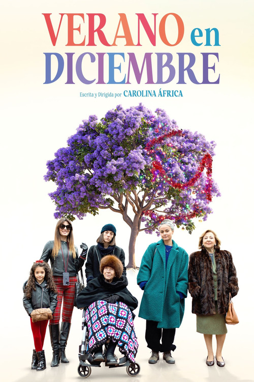 Verano en diciembre (2024) poster