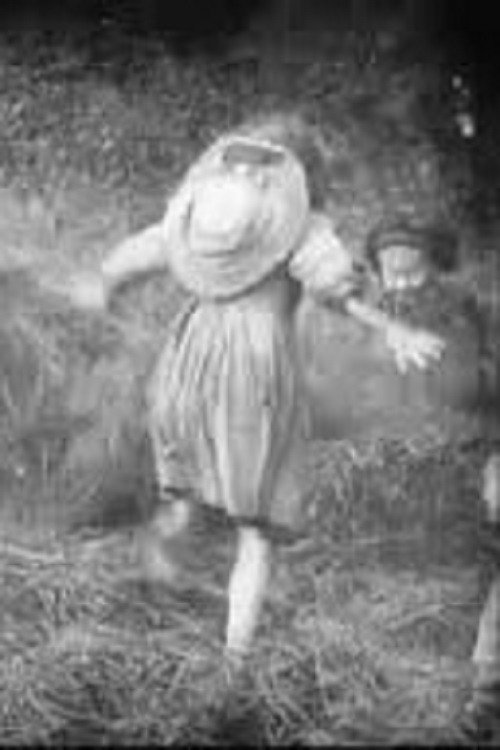 A Day in the Hayfields (1904) poster