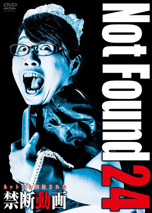 Not Found 24 (2016) poster