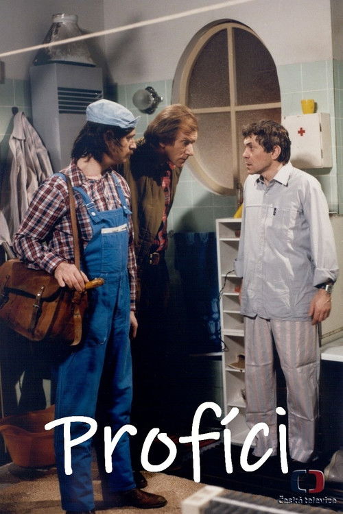 Profíci aneb Když nejsou lidi (1985) poster