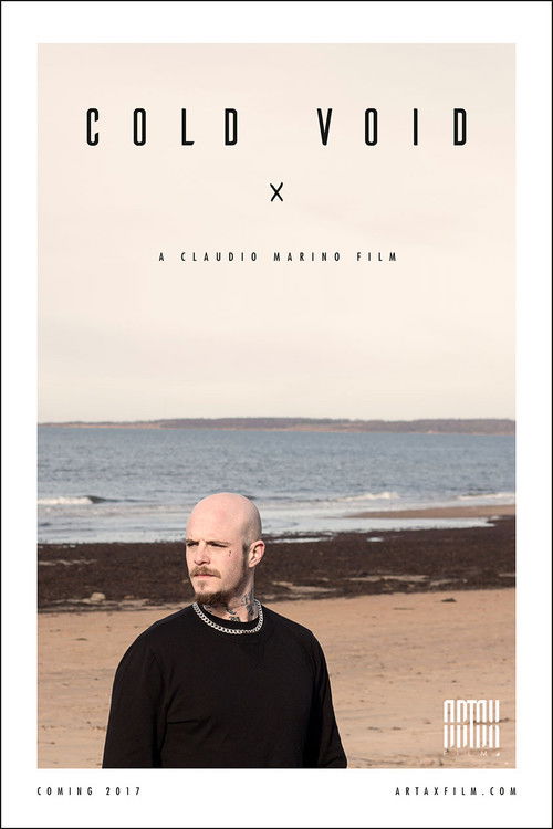 Cold Void (2017) poster