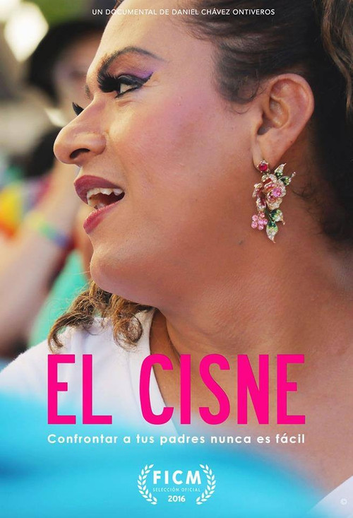 El Cisne (2016) poster