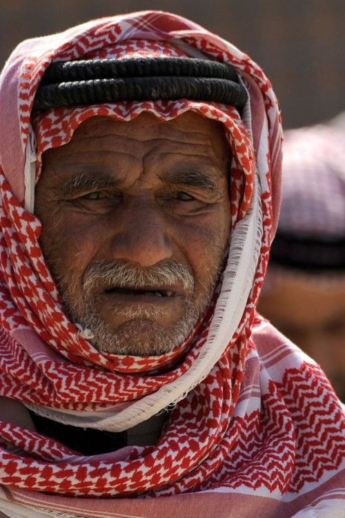 Irak : la guerre à tout prix (2004) poster