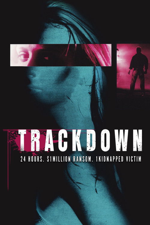 The Finder (2001) poster