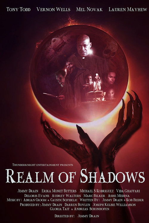 Realm of Shadows (2024) poster
