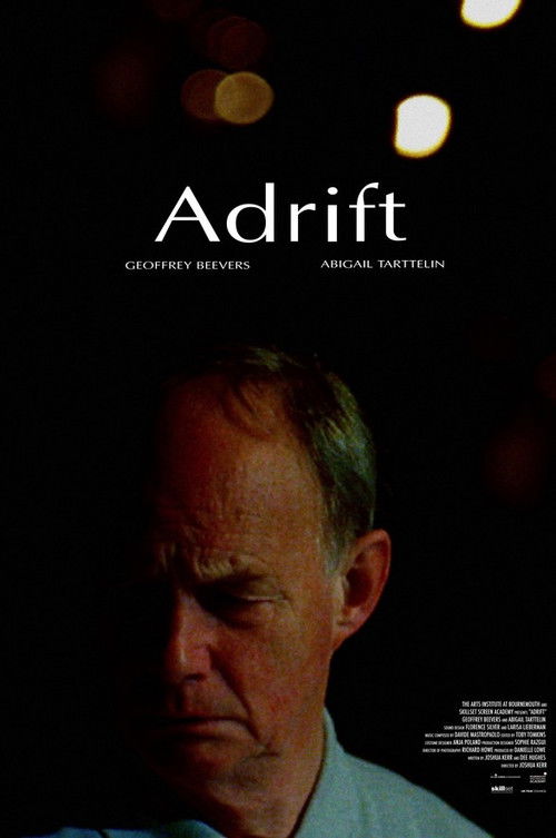 Adrift (2009) poster