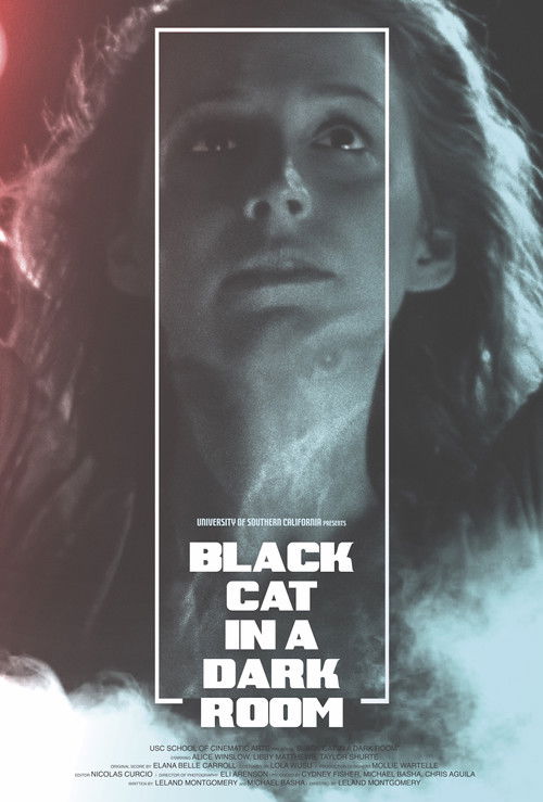 Black Cat in a Dark Room (2019) poster