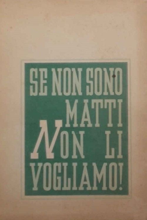 Se non son matti non li vogliamo (1941) poster