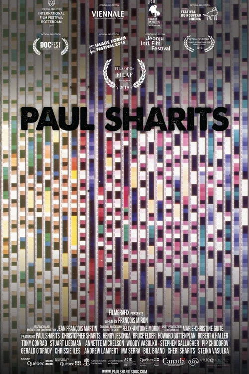Paul Sharits (2015) poster