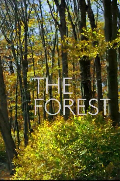 The Forest (2019) poster