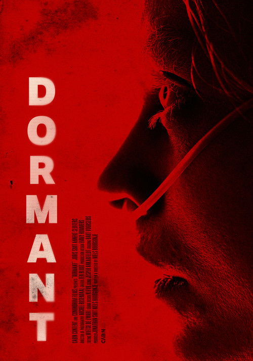 Dormant (2024) poster