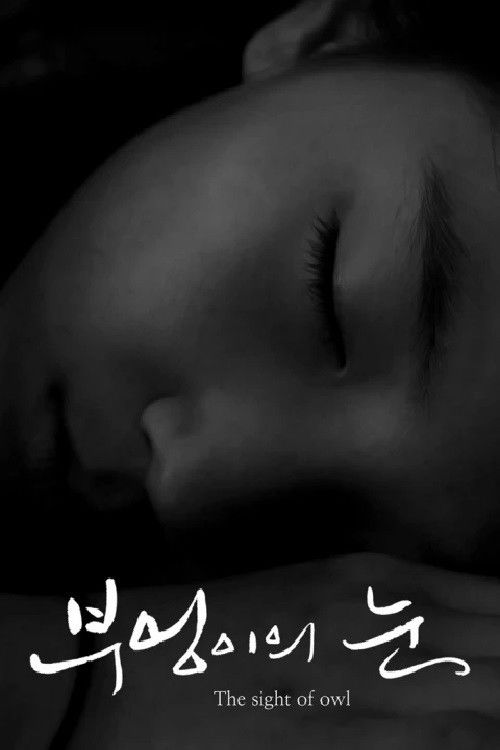 The Sight of Owl (2014) poster