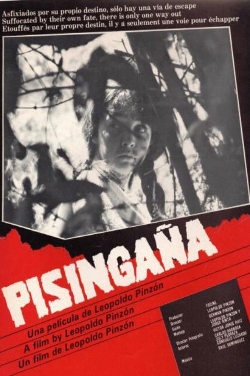 Pisingaña (1986) poster