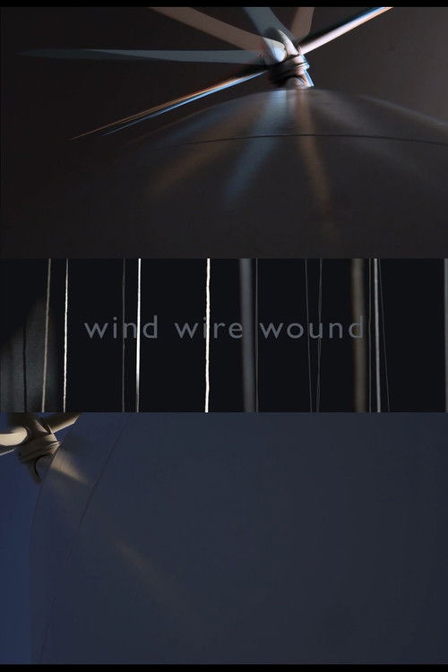WIND WIRE WOUND (2018) poster