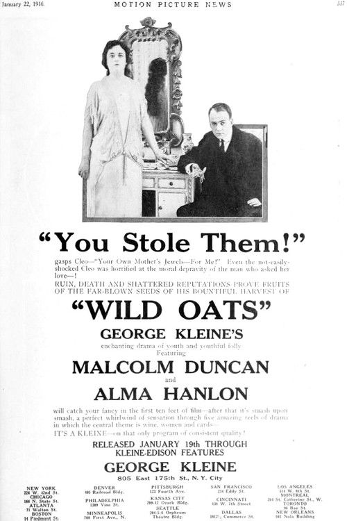 Wild Oats (1916) poster