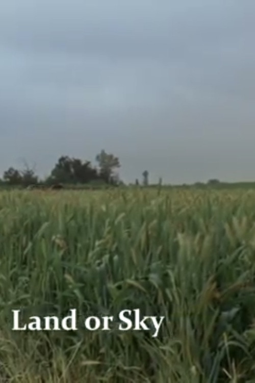Land or Sky (2012) poster