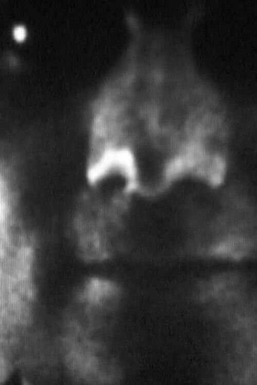 Idéal (Fin de L') (2000) poster