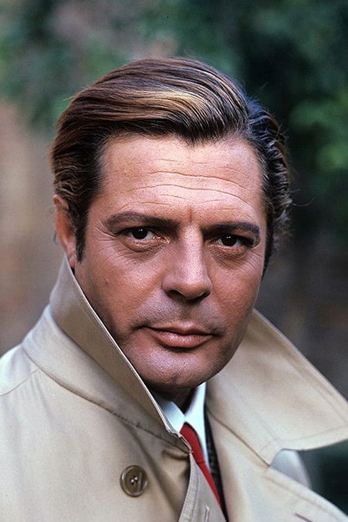 Mastroianni. Un Casanova dei nostri tempi (1965) poster