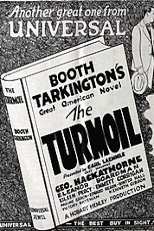 The Turmoil (1924) poster