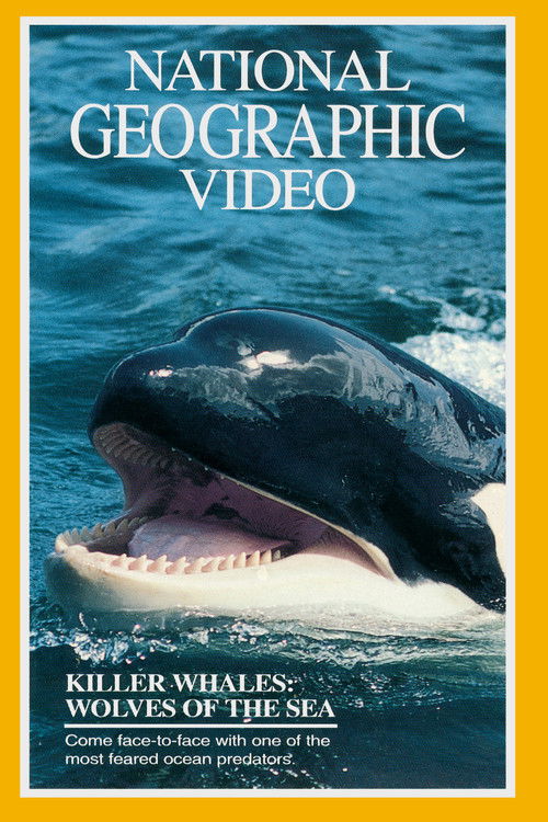 Killer Whales: Wolves of the Sea (1993) poster