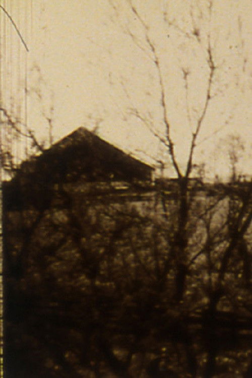 Tell Me What You Saw (1994) poster