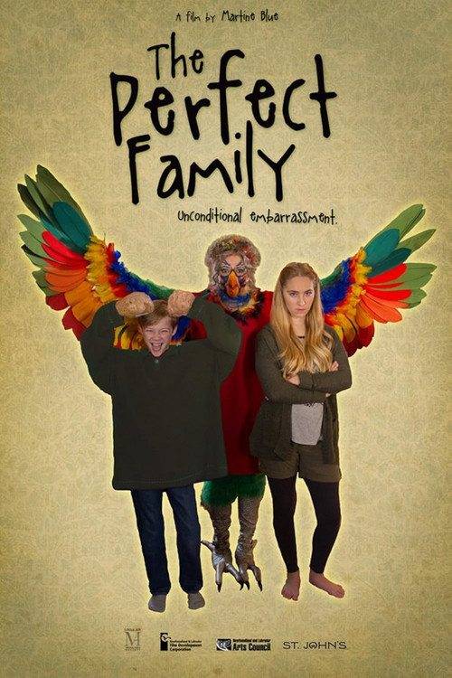 The Perfect Family (2016) poster