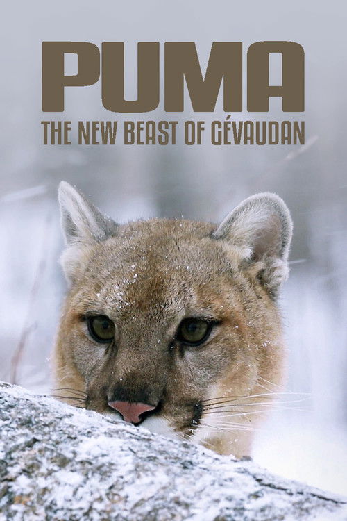 Puma, le fantôme du Gévaudan (2019) poster